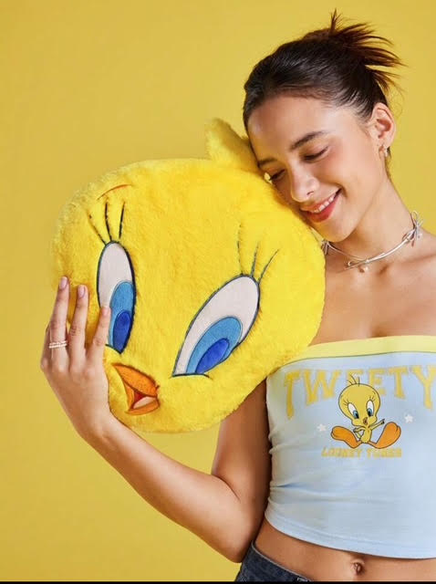 Tweety Looney Tunes Embroidered Cartoon & Letter Pattern Decorative Plush pillow !